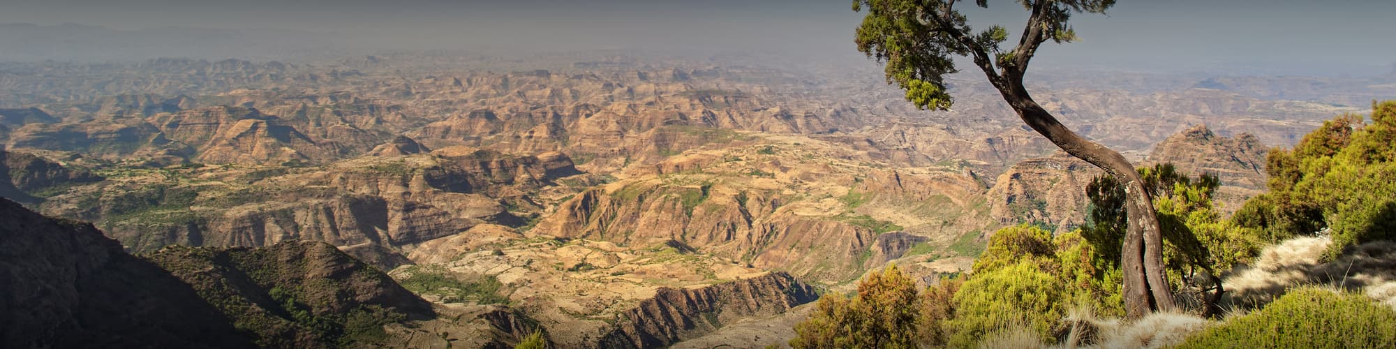Trek en Ethiopie : circuit, randonnée et voyage  © Guenter Guni / iStock