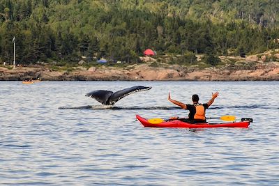 Voyage Forêts, collines, rivières et lacs Canada