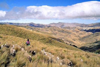 Trek Equateur