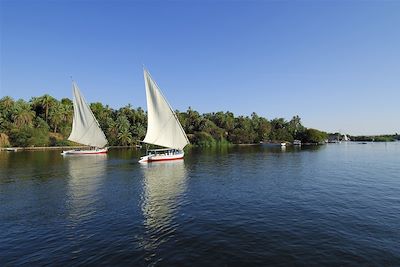 Le long du Nil en felouque