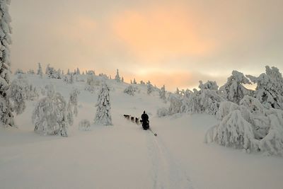 Traîneau à chiens