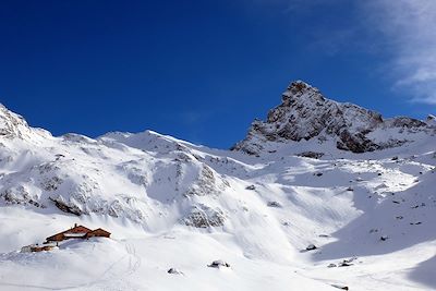 Ski de fond et ski nordique