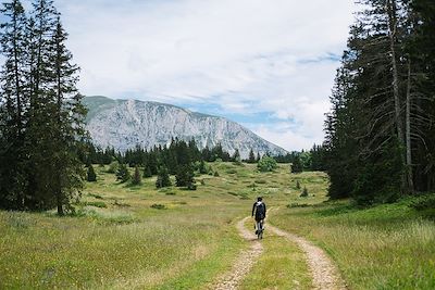 VTT / Gravel