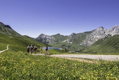 Randonnée avec âne