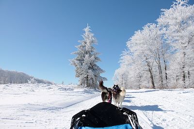 Aventures hivernales sur le plateau de l'Aubrac