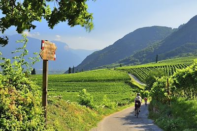 Des montagnes à la lagune : Bolzano - Venise