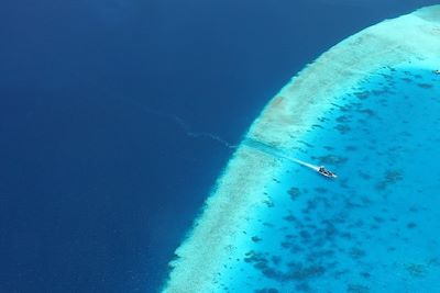 Baignade - Snorkeling Sri Lanka