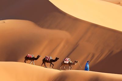 Voyage  Sahara