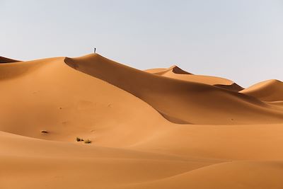 Voyages liberté Maroc