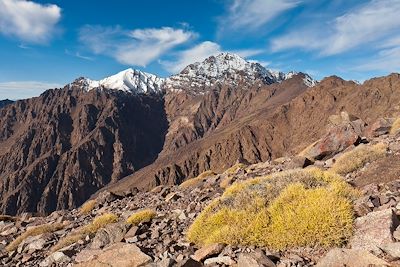 Circuits accompagnés Maroc