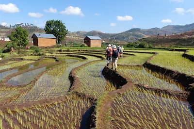 Circuits accompagnés Madagascar