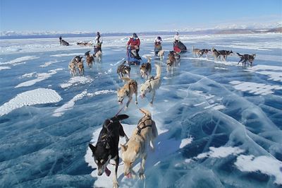 Traîneau à chiens