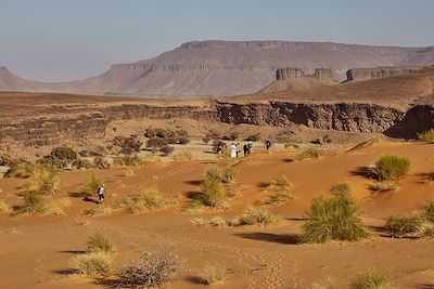 Randonnée avec chameau Mauritanie