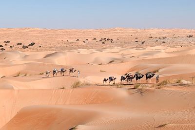 Randonnée avec chameau Mauritanie