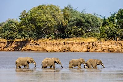 Voyage Malawi