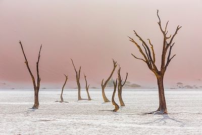 Autotour Namibie