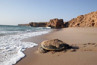 Au pays de Sindbad le marin