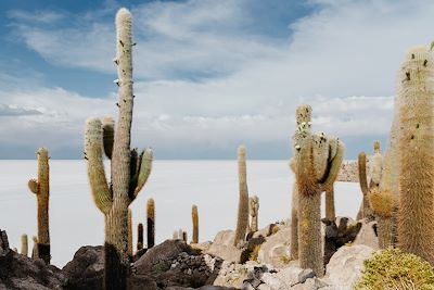 Voyage  Cuzco et Machu Picchu