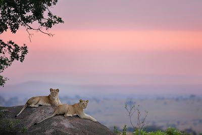 Voyages en famille Tanzanie