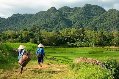 Voyages en famille Vietnam