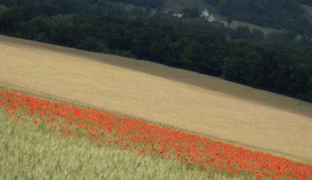 Arjowiggins Graphic et le développement durable