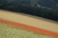 Le développement durable et le tourisme d'aventure