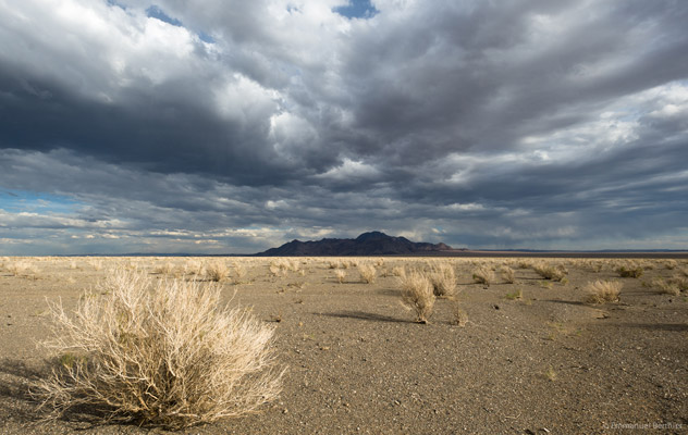 Désert de Gobi : terre d'extrêmes