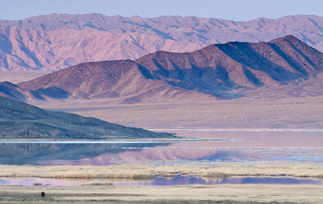Désert de Gobi : terre d'extrêmes