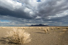 Désert de Gobi : terre d'extrêmes