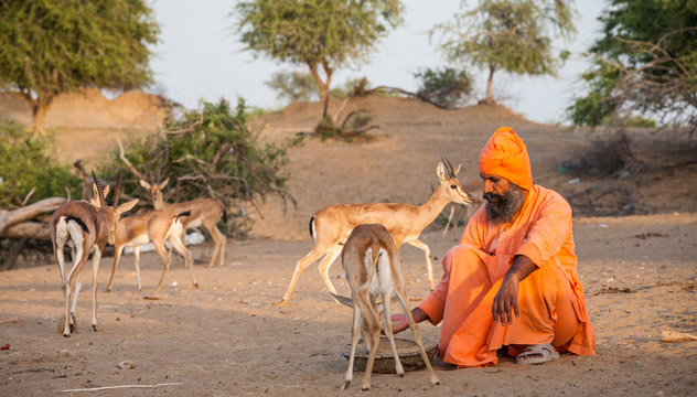 Rajasthan, l'âme d'un prophète