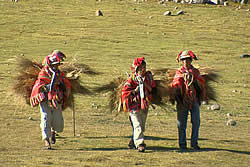 Pourquoi l'homme marche ?